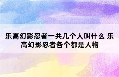 乐高幻影忍者一共几个人叫什么 乐高幻影忍者各个都是人物